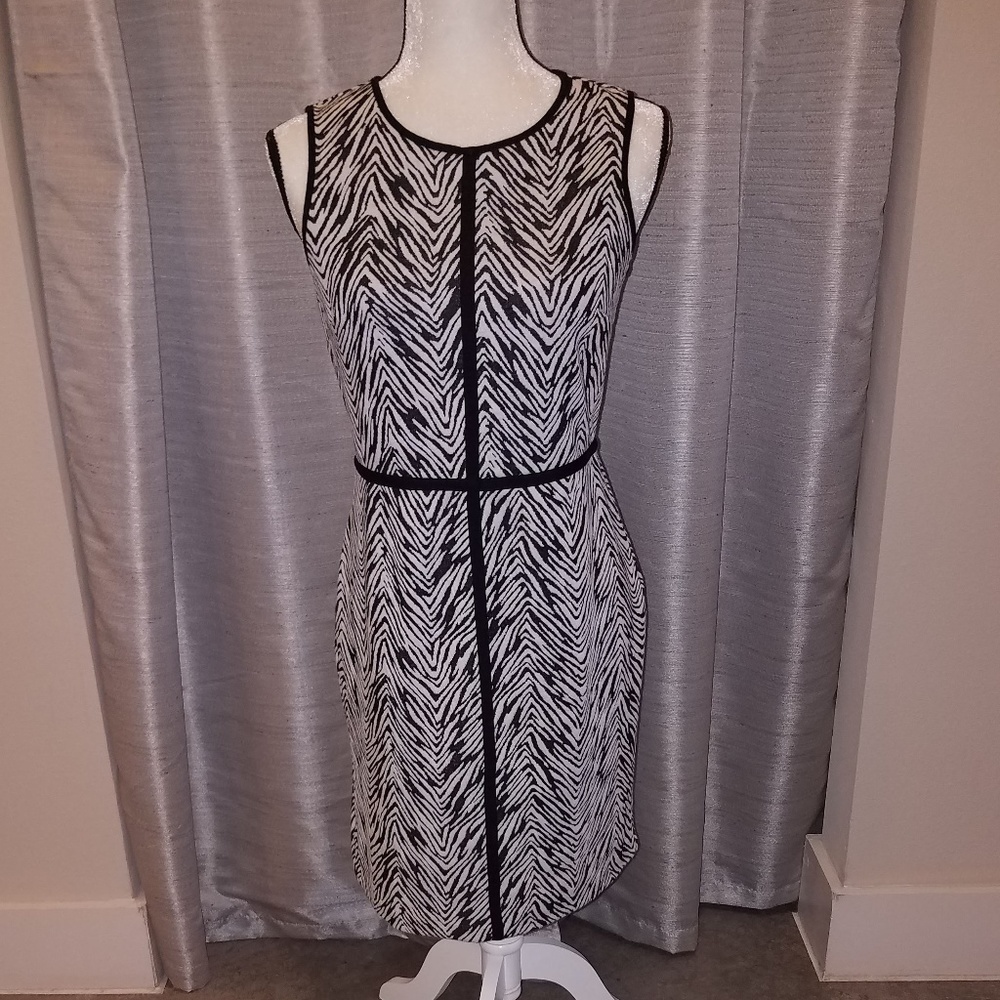 Ann Taylor  Sleeveless, Zebra Dress